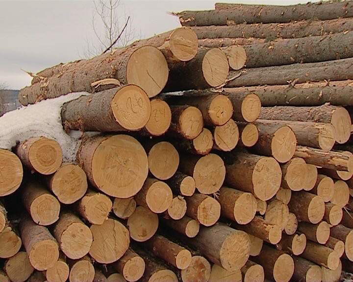 О запрете на отчуждение древесины, заготовленной  гражданами для собственных нужд.