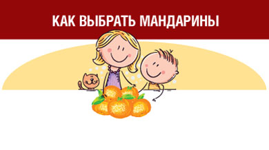 В преддверии новогодних праздников Роспотребнадзор рекомендует, как выбрать самые «праздничные» фрукты – мандарины..