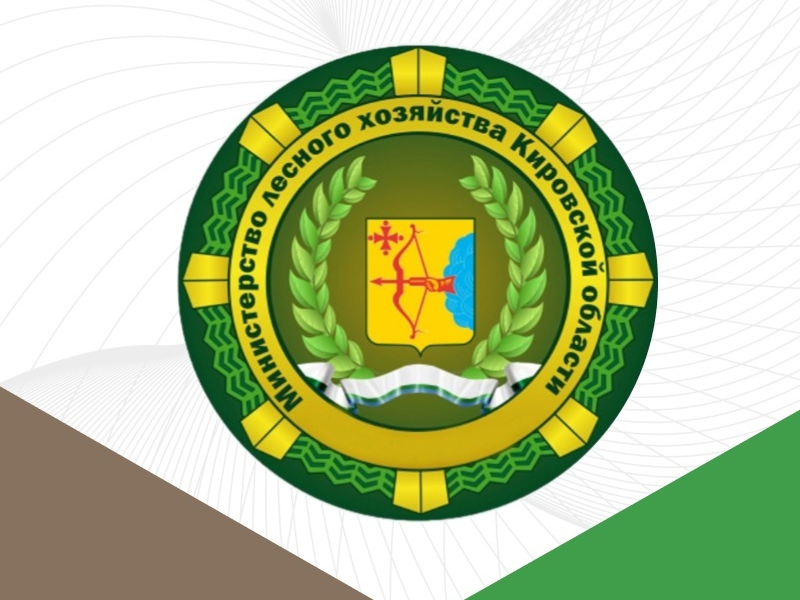 Информация об аукционах на право заключения договоров купли-продажи лесных насаждений в электронной форме..